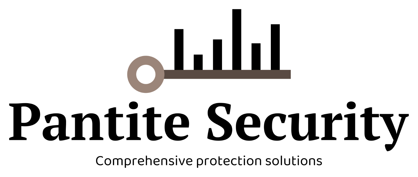 Pantite Security — Comprehensive protection solutions